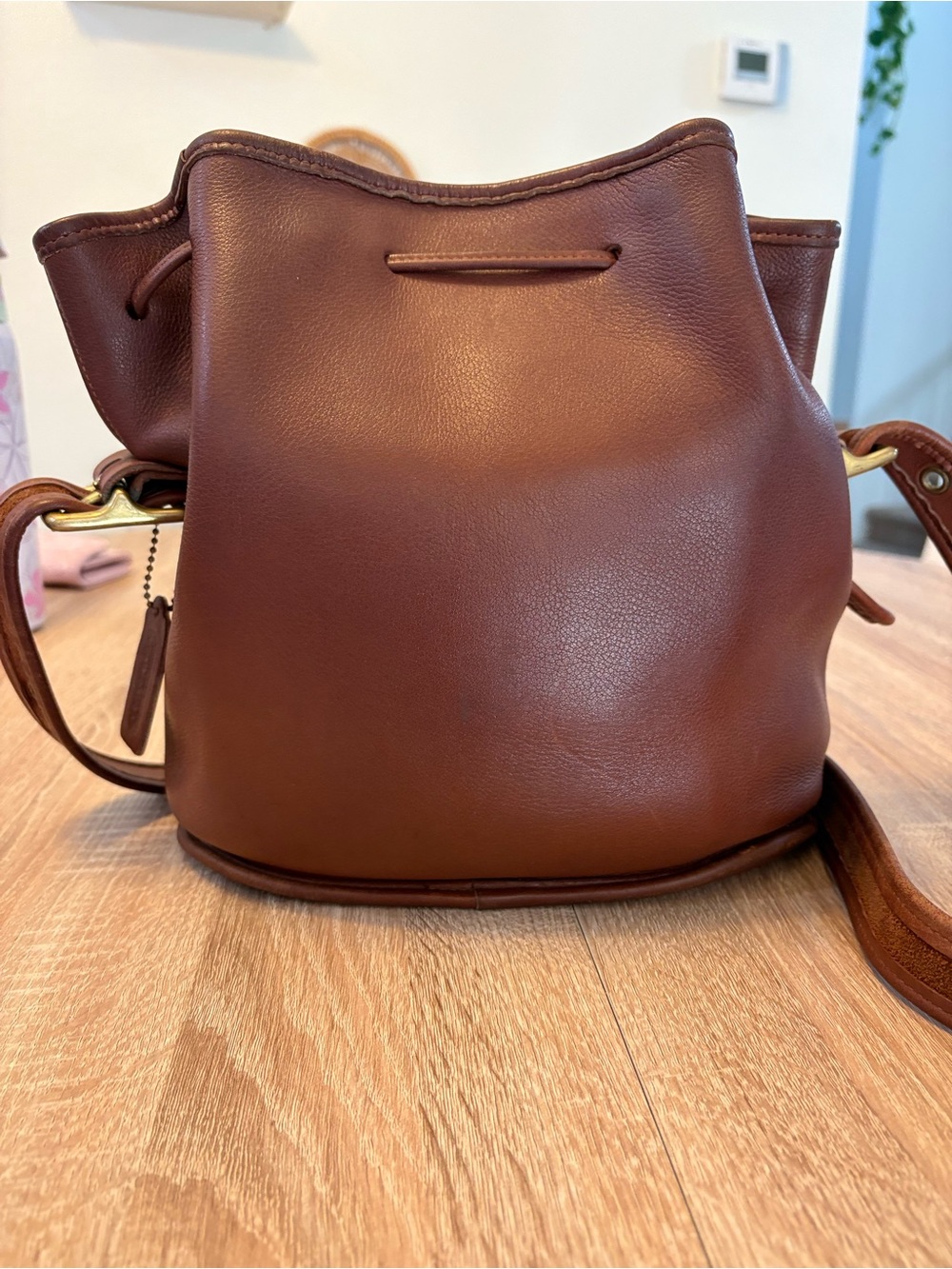 Coach Lula's Legacy Bucket Bag Leather - Picture 6 of 13